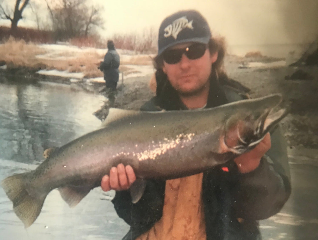Wilmot Creek Steelhead