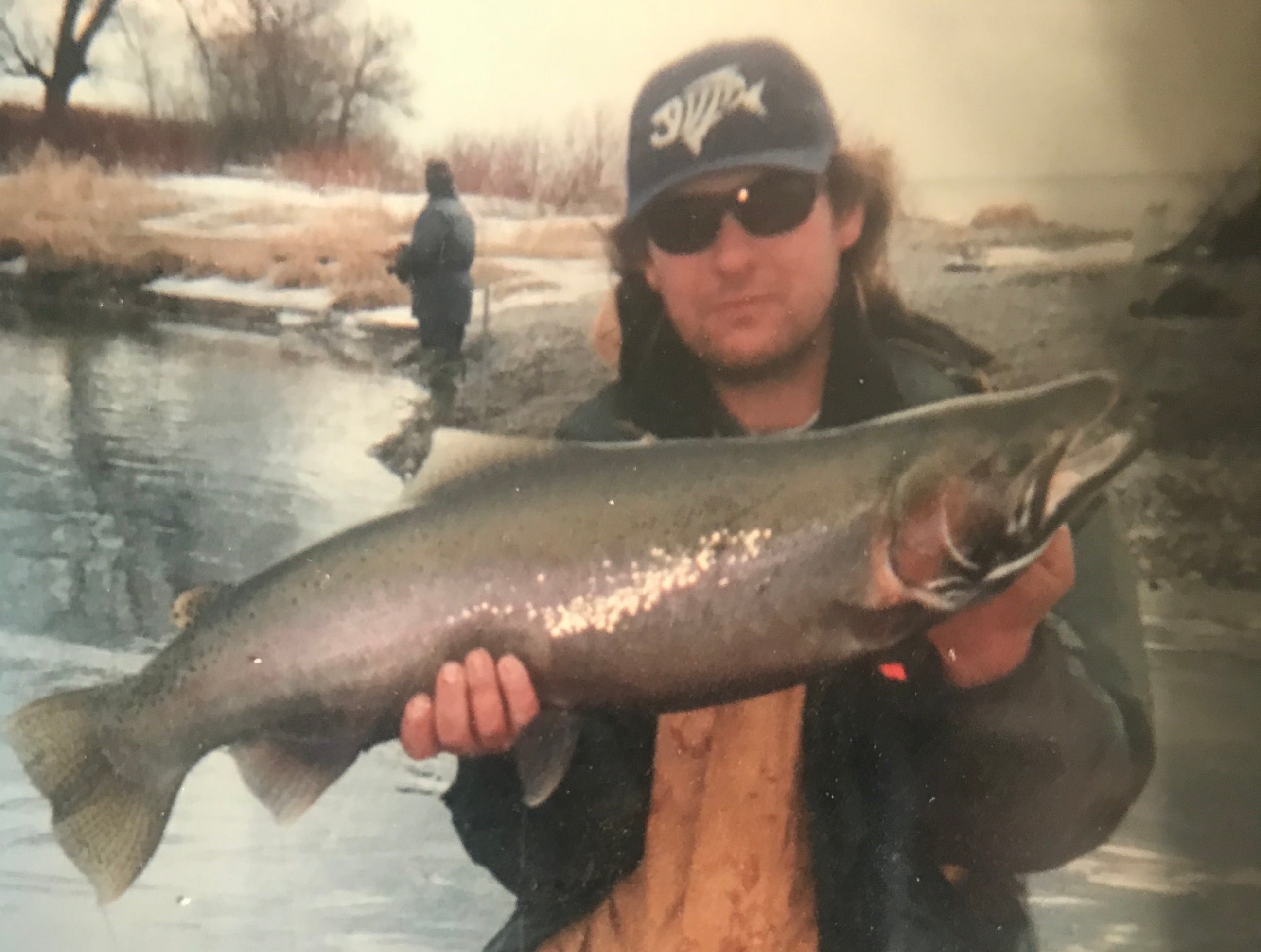 Wilmot Creek Steelhead