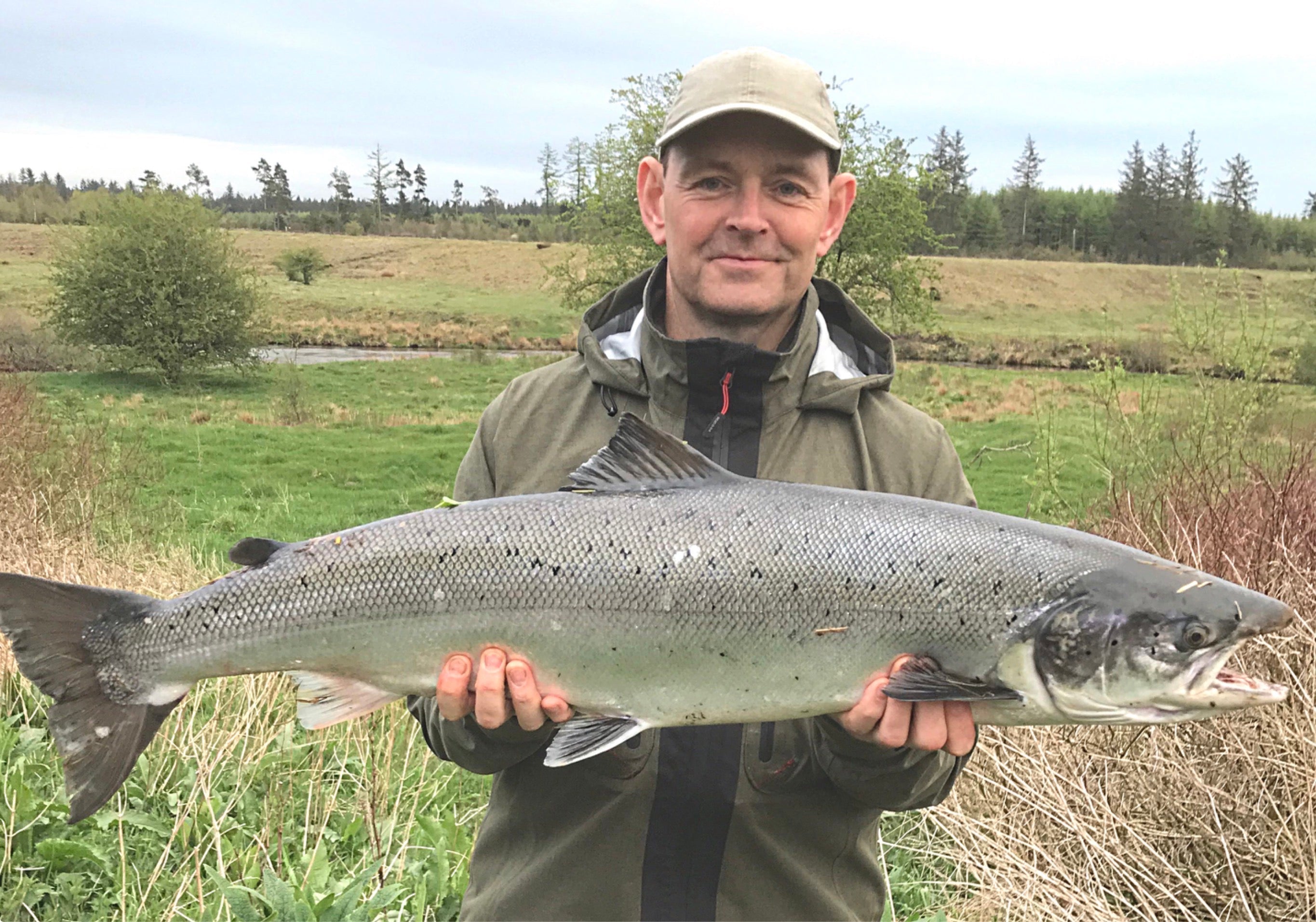 Danish Atlantic Salmon