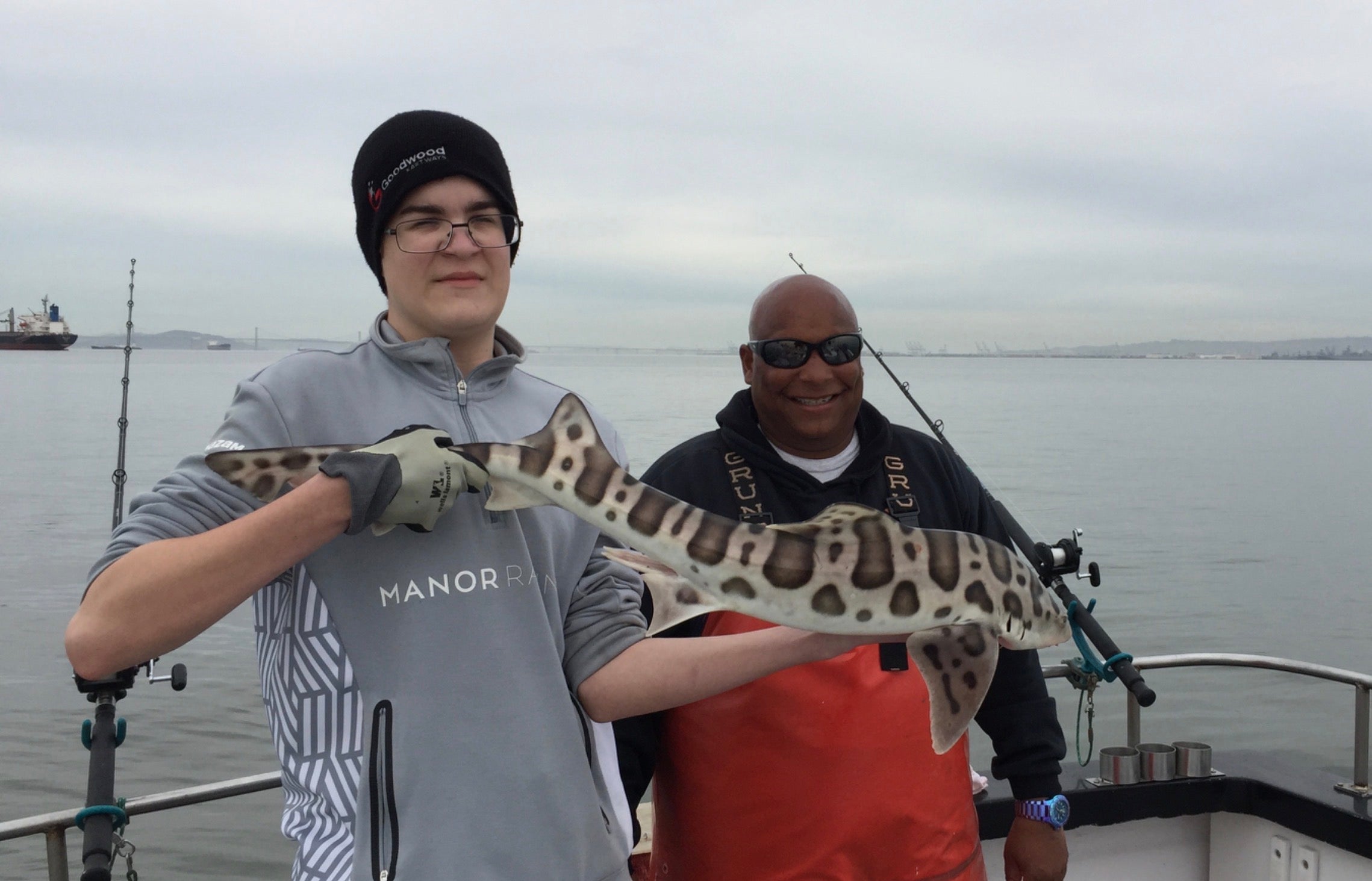 First Shark, a Leopard Shark